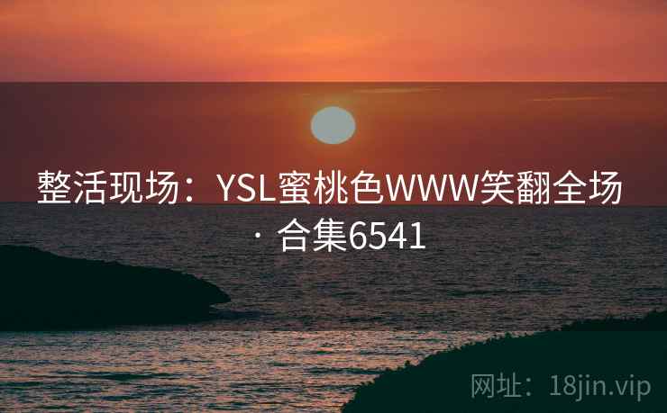 整活现场：YSL蜜桃色WWW笑翻全场 · 合集6541