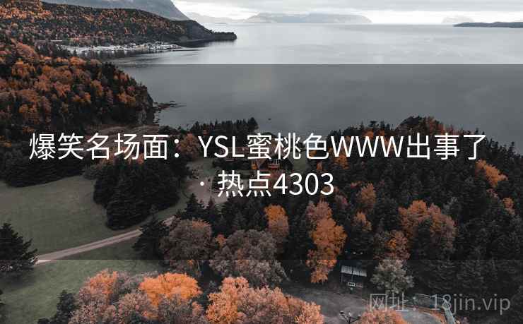 爆笑名场面：YSL蜜桃色WWW出事了 · 热点4303